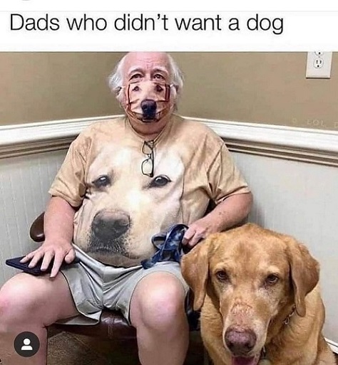 dads dint want dog.jpg